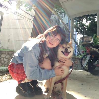 爱犬情缘