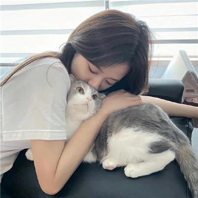 画上结语